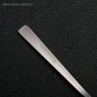 Ложка чайная из нержавеющей стали «Хоккайдо», длина 15 см, толщина 1 мм Ложка чайная из нержавеющей стали «Хоккайдо», длина 15 см, толщина 1 мм