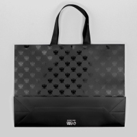 Пакет ламинированный горизонтальный &laquo;Россия - наша страна&raquo;, L 40 х 31 х 11.5 см