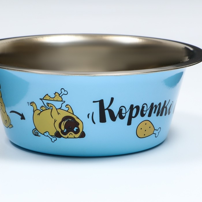 Миска стандартная Миска стандартная "Пижон. Коротко о диете", 450 мл