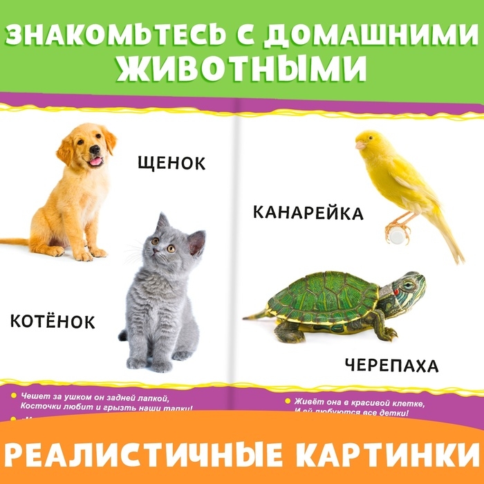 Набор картонных книг &laquo;Для самых маленьких&raquo;, 2 шт.