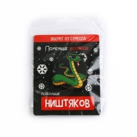 Значок новогодний &laquo;Новый год: Талисман от стресса&raquo;, 4,1 х 4,5 см