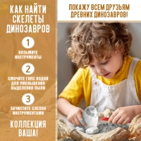 Набор для раскопок &laquo;Эра динозавров&raquo;