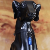 Адресник - капсула под записку, 2,2 х 1,3 см, синий Адресник - капсула под записку, 2,2 х 1,3 см, синий