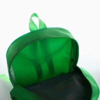 Рюкзак детский с карманом для мальчика &laquo;Динозаврик&raquo;, 30х25 см