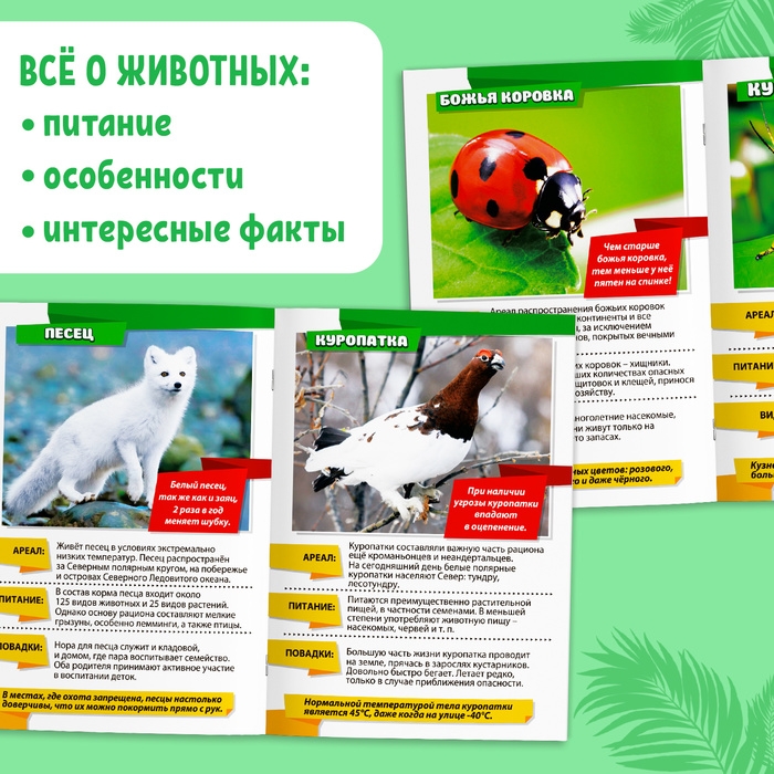 Мини-энциклопедии &laquo;Мир животных&raquo;, 8 шт. по 20 стр.