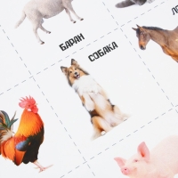 Набор обучающих плакатов «Изучаем мир», 10 в 1, А4 Набор обучающих плакатов «Изучаем мир», 10 в 1, А4