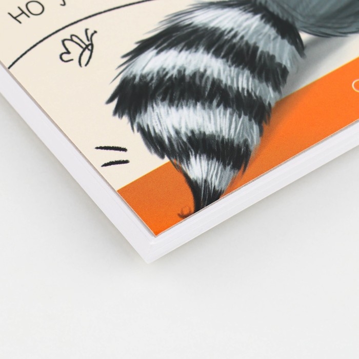 Скетчбук А5, 80 листов,твердая обложка, &laquo;Енот&raquo;.