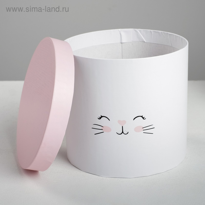 Набор коробок 3 в 1, упаковка подарочная, &laquo;Котики&raquo;, 14 х 14 х 13 - 18 х 18 х 15 см