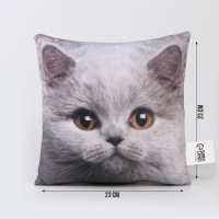 Подушка антистресс, кот "Британец"