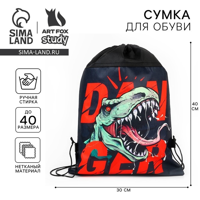 Мешок для обуви &laquo;Динозавр&raquo; нетканное полотно, размер 30 х 40 см