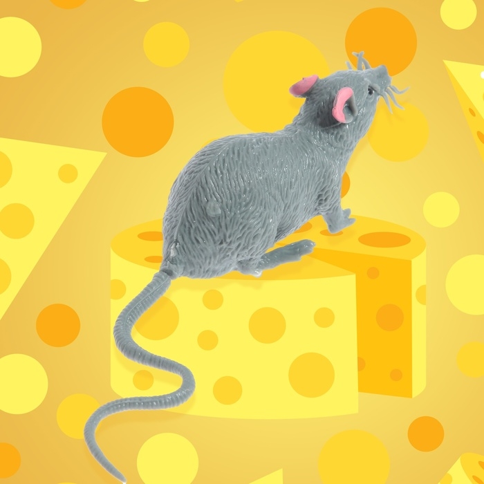 Фигурка животного тянущаяся &laquo;Мышка&raquo;, МИКС