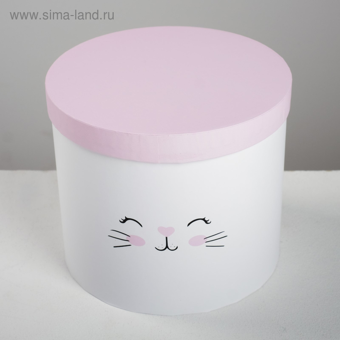 Набор коробок 3 в 1, упаковка подарочная, &laquo;Котики&raquo;, 14 х 14 х 13 - 18 х 18 х 15 см