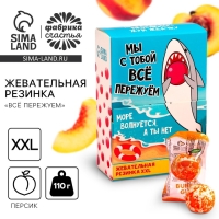 Жевательная резинка &laquo;Всё пережуем&raquo;, вкус: персика, 110 г.