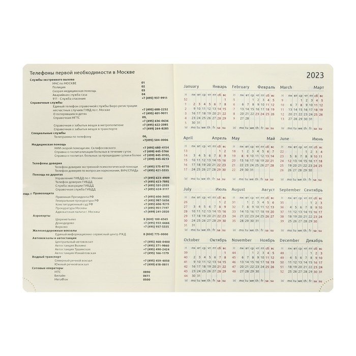 Ежедневник датированный 2024 A5 176 листов, deVENTE.I Love Cat, твёрдая обложка из искусственной кожи, тиснение фольгой, ляссе, кремовый блок 70 г/м2, сиреневый