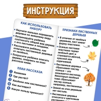 Развивающий набор &laquo;Хвойные и лиственные деревья&raquo;