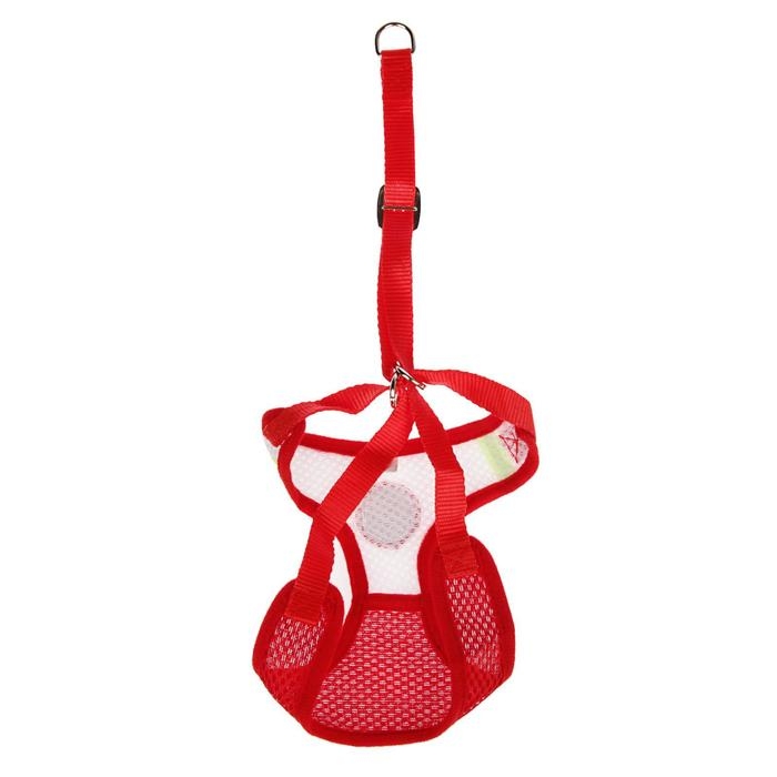 Шлейка регулируемая дышащая, светоотражающая, размер XL (ОШ 48-68; ОГ 58-72 см), красная Шлейка регулируемая дышащая, светоотражающая, размер XL (ОШ 48-68; ОГ 58-72 см), красная