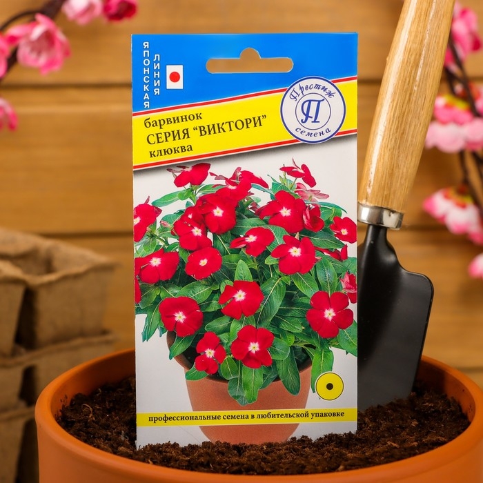 Семена цветов Барвинок Семена цветов Барвинок "Виктори" Клюква, О, 10 шт