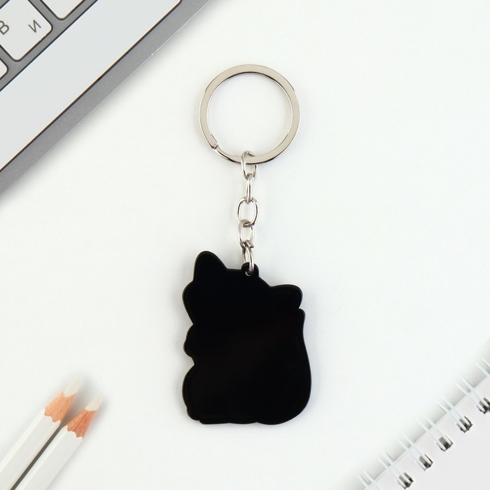 Брелок для ключей акриловый «Енот», 3,5 х 10 см Брелок для ключей акриловый «Енот», 3,5 х 10 см