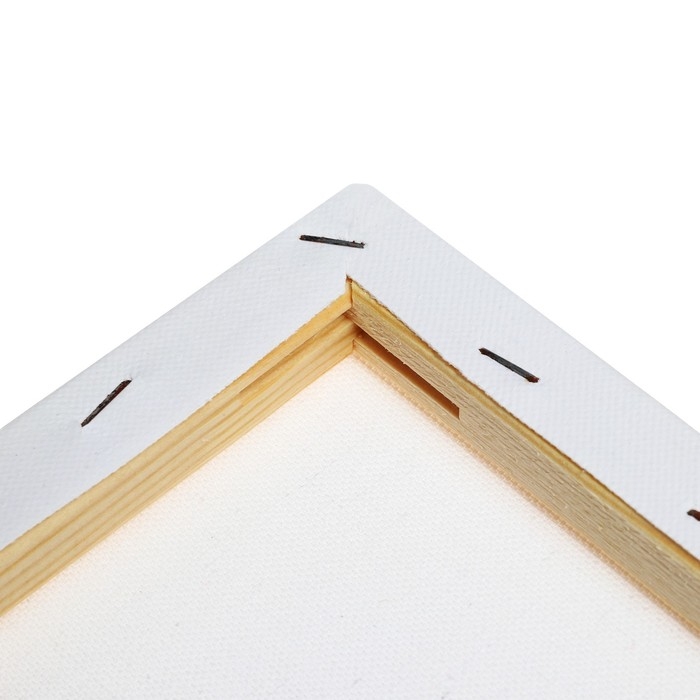 Холст на подрамнике 1,6х24х30 см, хлопок 100%, акриловый грунт, среднезернистый, 380г/м&sup2;