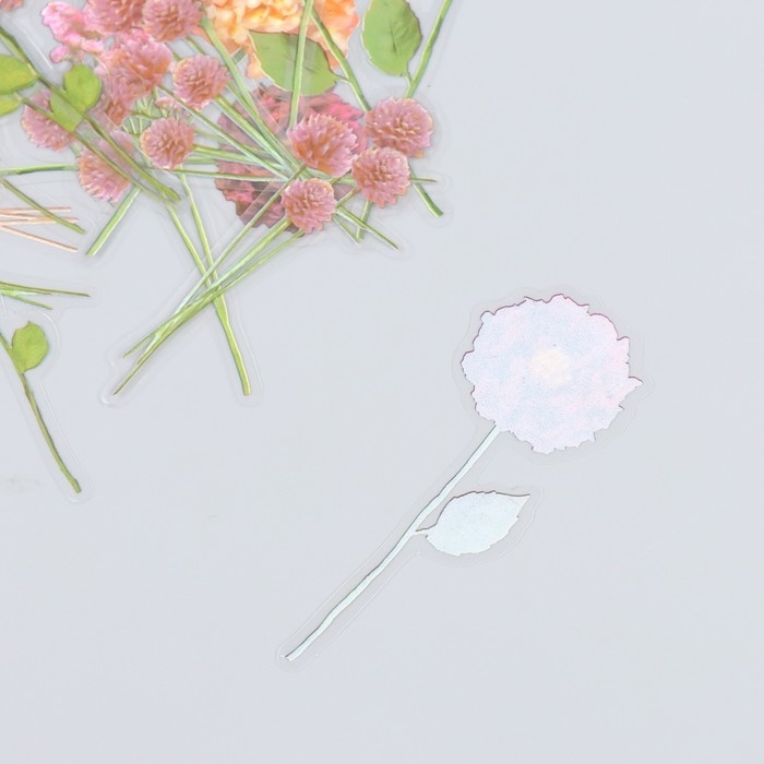 Набор наклеек Набор наклеек "Цветы. Туманный розовый" 30 шт 8,5х11 см