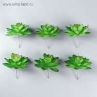 Искусственный суккулент для создания флорариума "Молодило Silver Song" 10,5х10х10 см Искусственный суккулент для создания флорариума "Молодило Silver Song" 10,5х10х10 см