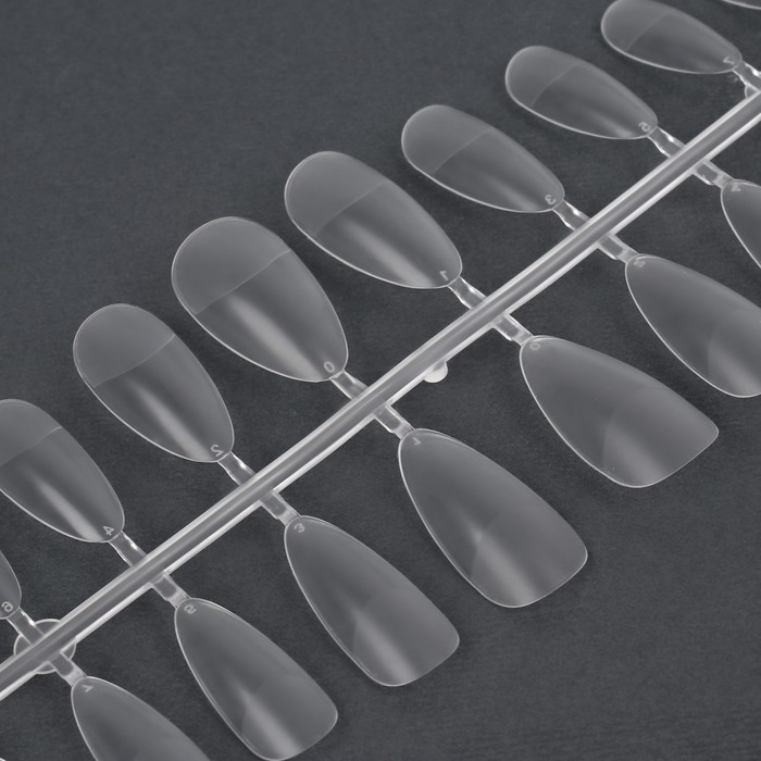 Гелевые типсы для наращивания ногтей, 240 шт, форма миндаль, полное матовое покрытие, цвет прозрачный Гелевые типсы для наращивания ногтей, 240 шт, форма миндаль, полное матовое покрытие, цвет прозрачный