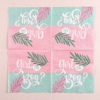 Гендер-пати. Салфетки бумажные &laquo;Girl or Boy&raquo;, 25х25см, набор 20 шт.