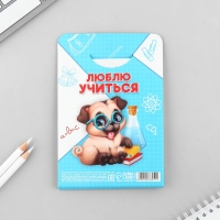 Подарочный набор на выпускной: Блокнот А6, 32л, наклейки и магнитные закладки 2 шт &laquo;Выпускник&raquo;