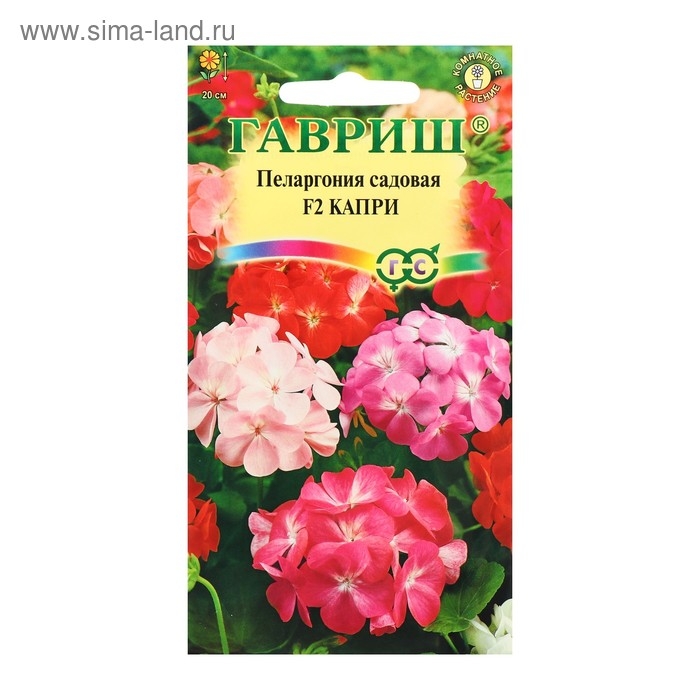 Семена комнатных цветов Пеларгония Семена комнатных цветов Пеларгония "Капри", F2, 4 шт.