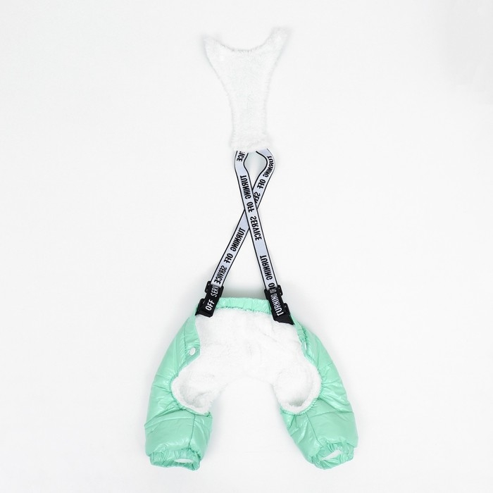 Комбинезон-штаны для собак,  размер L (ДС 40, ОТ 44 см), мятный