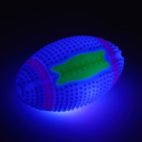 Мяч для собак светящийся с пищалкой "Регби", TPR, 7 см, голубой Мяч для собак светящийся с пищалкой "Регби", TPR, 7 см, голубой