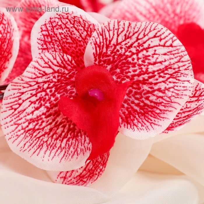 Цветы искусственные "Орхидея фаленопсис" 8х80 см, красный