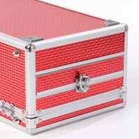 Набор профессиональной косметики"Miss Young" №10 Набор профессиональной косметики"Miss Young" №10