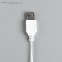 Гирлянда «Нить» 3 м с насадками «Шарики», IP20, прозрачная нить, 20 LED, свечение мульти (RG/RB), мигание, USB Гирлянда «Нить» 3 м с насадками «Шарики», IP20, прозрачная нить, 20 LED, свечение мульти (RG/RB), мигание, USB