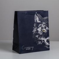 Пакет подарочный ламинированный вертикальный, упаковка, &laquo;Сильному духом&raquo;, ML 23 х 27 х 11,5 см