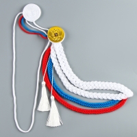 Карнавальный аксельбант &laquo;Солдат на параде&raquo;, триколор