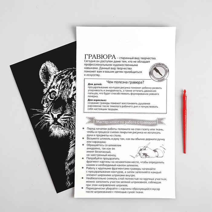 Гравюра &laquo;Тигрёнок&raquo; с металлическим эффектом &laquo;золото&raquo; А4