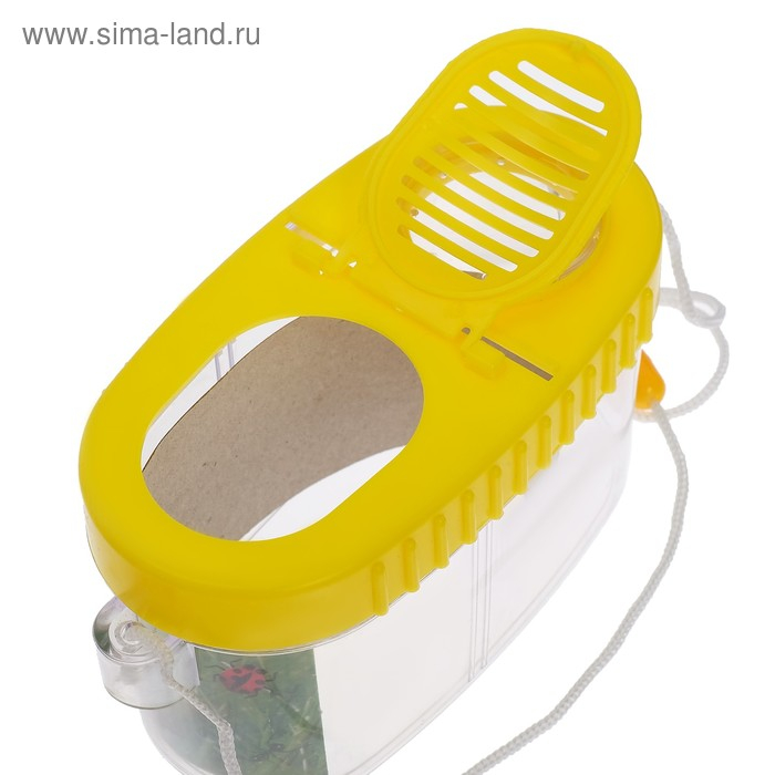 Набор для исследования «Юный биолог», пинцет, лупа, баночка для насекомых Набор для исследования «Юный биолог», пинцет, лупа, баночка для насекомых