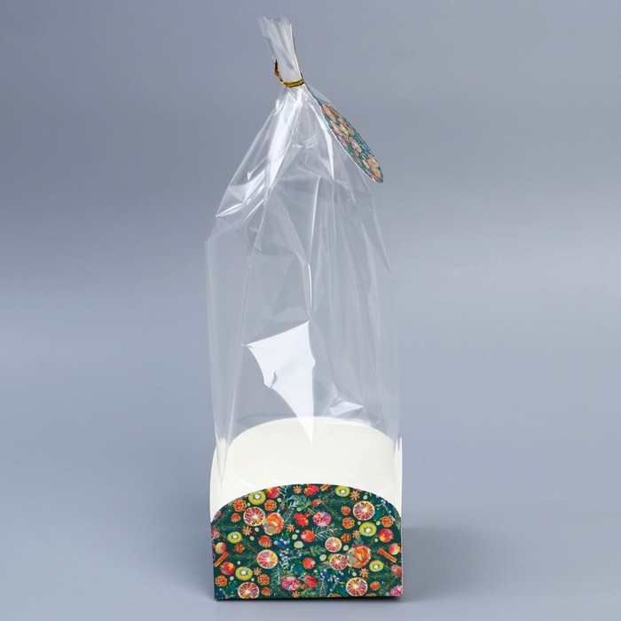 Пакет с коробкой &laquo;Новогодняя ботаника&raquo;, 12 х 12 х 40 см, Новый год