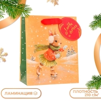 Новый год. Пакет подарочный "Зайка на льду", 18 х 22,3 х 10 см. Новый год. Пакет подарочный "Зайка на льду", 18 х 22,3 х 10 см.