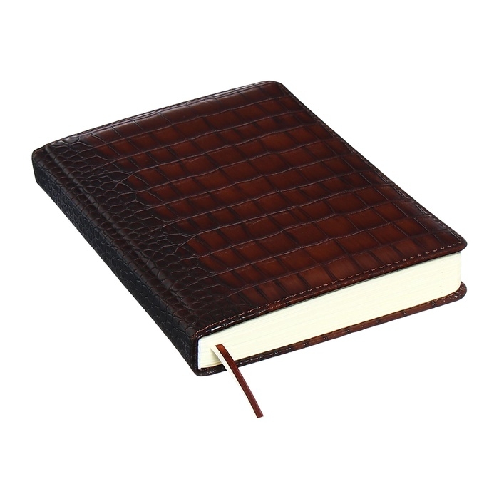 Ежедневник датированный 2024 A5 176 листов, deVENTE.Belcanto, твёрдая обложка из искусственной кожи с поролоном, ляссе, кремовый блок 70 г/м2, коричневый