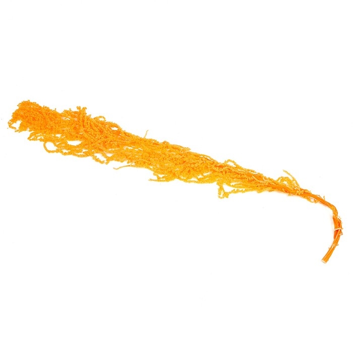 Сухие цветы амаранта, 100 г, размер листа: от 50 до 60 см, цвет оранжевый