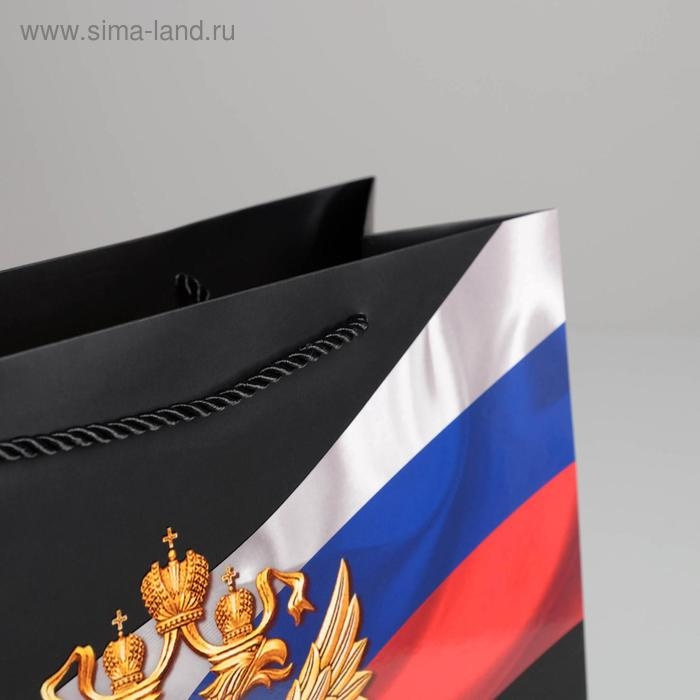 Пакет подарочный, упаковка, &laquo;Россия&raquo;, 32 х 26 х 12 см