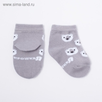 Набор носков Крошка Я &laquo;Мишка&raquo;, 2 пары, 12-14 см