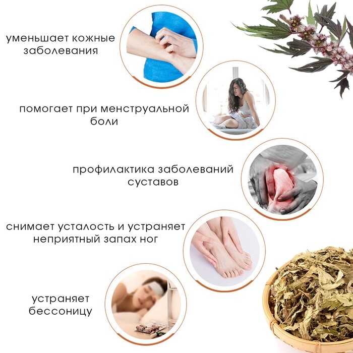 Травяной сбор для запарки ног Травяной сбор для запарки ног "Полынь и пустырник", набор 5 шт