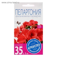 Семена цветов Пеларгония "Жаклин", красная с коричневым листом, F1, 4 шт Семена цветов Пеларгония "Жаклин", красная с коричневым листом, F1, 4 шт