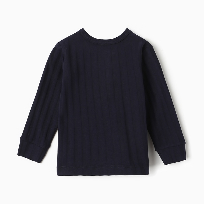 Лонгслив детский, цвет тёмно-синий, рост 74 см Лонгслив детский, цвет тёмно-синий, рост 74 см