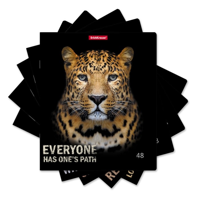 Тетрадь 48 листов в клетку, ErichKrause Strong and Brave, обложка мелованный картон, матовая ламинация, блок офсет 100% белизна, МИКС (1 вид в спайке) Тетрадь 48 листов в клетку, ErichKrause Strong and Brave, обложка мелованный картон, матовая ламинация, блок офсет 100% белизна, МИКС (1 вид в спайке)