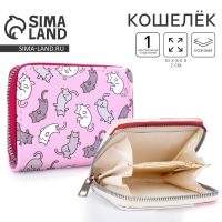 Кошелёк детский &laquo;Котята&raquo; 10х8.5х2 см, розовый