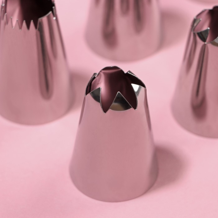 Набор насадок кондитерских Доляна, d=3 см, 12 шт